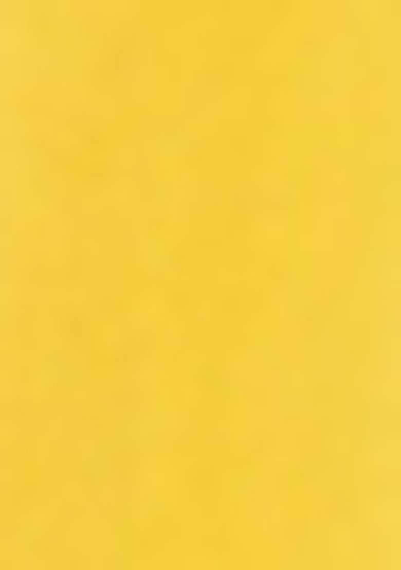 Yellow Embroidered Blouse Georgette Fusion Set - Indya