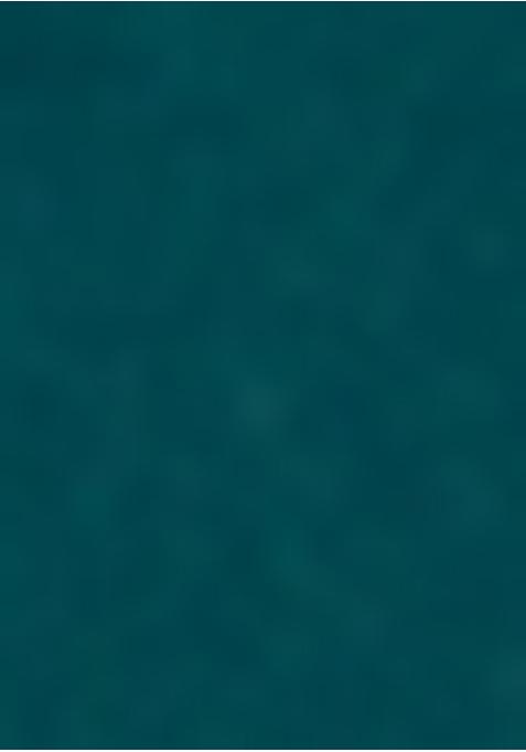 Teal Blue Printed Blouse Georgette Fusion Set