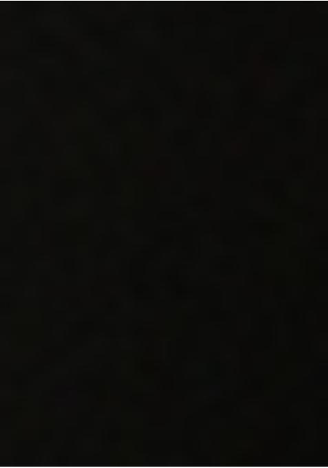 Black Embellished Blouse Georgette Fusion Set