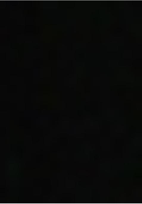 Black Embellished Blouse Georgette Fusion Set