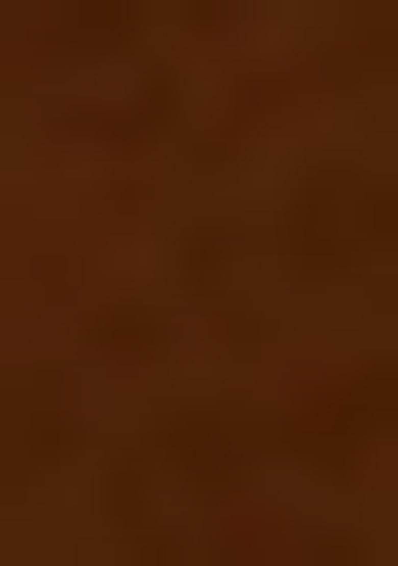 Brown Embroidered Blouse Tissue Fusion Set