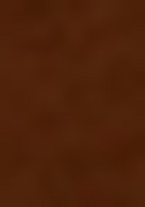 Brown Embroidered Blouse Tissue Fusion Set