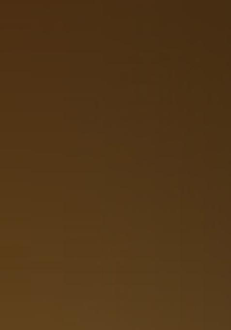 Gold And Black Embroidered Chinon Lehenga Set