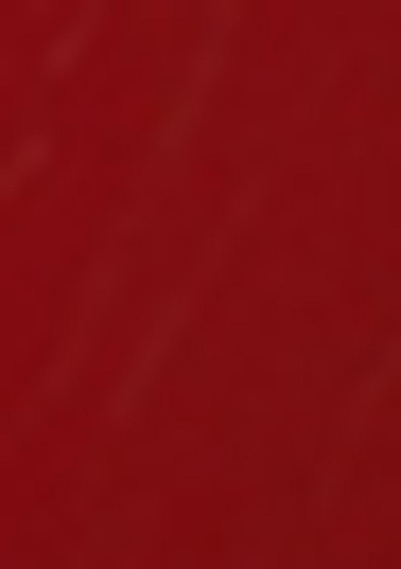 Red Embellished Blouse Georgette Fusion Set