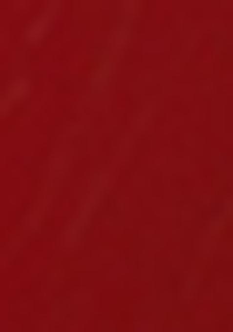 Red Embellished Blouse Georgette Fusion Set