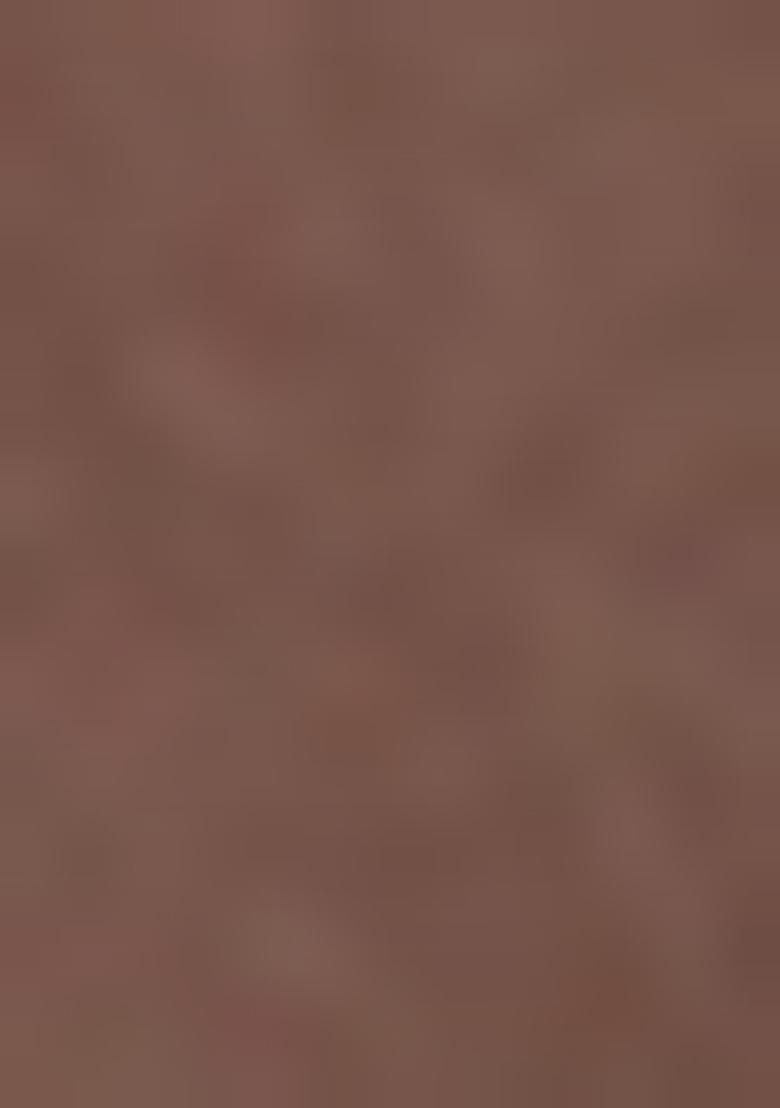 Mauve Sequin Embellished Blouse Georgette Fusion Set