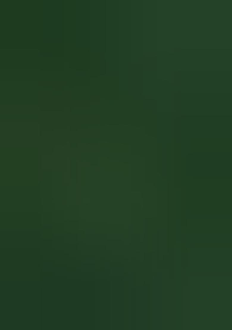 Green Embellished Net Fusion Set