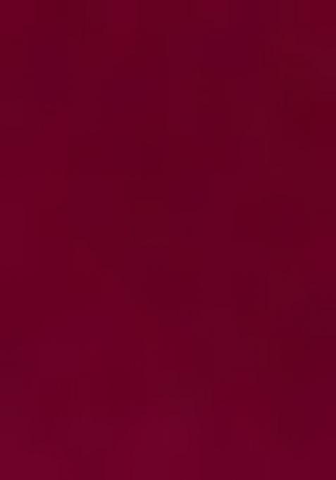 Wine Sequin Embellished Blouse Georgette Fusion Set