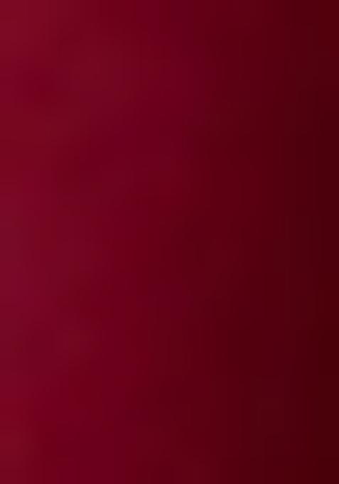 Wine Embroidered Georgette Lehenga Set