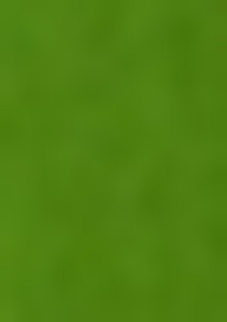 Green Embroidered Chanderi Lehenga Set