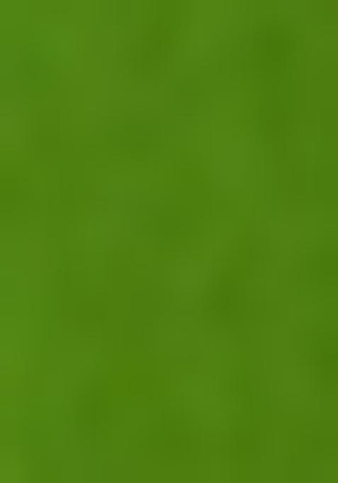 Green Embroidered Chanderi Lehenga Set