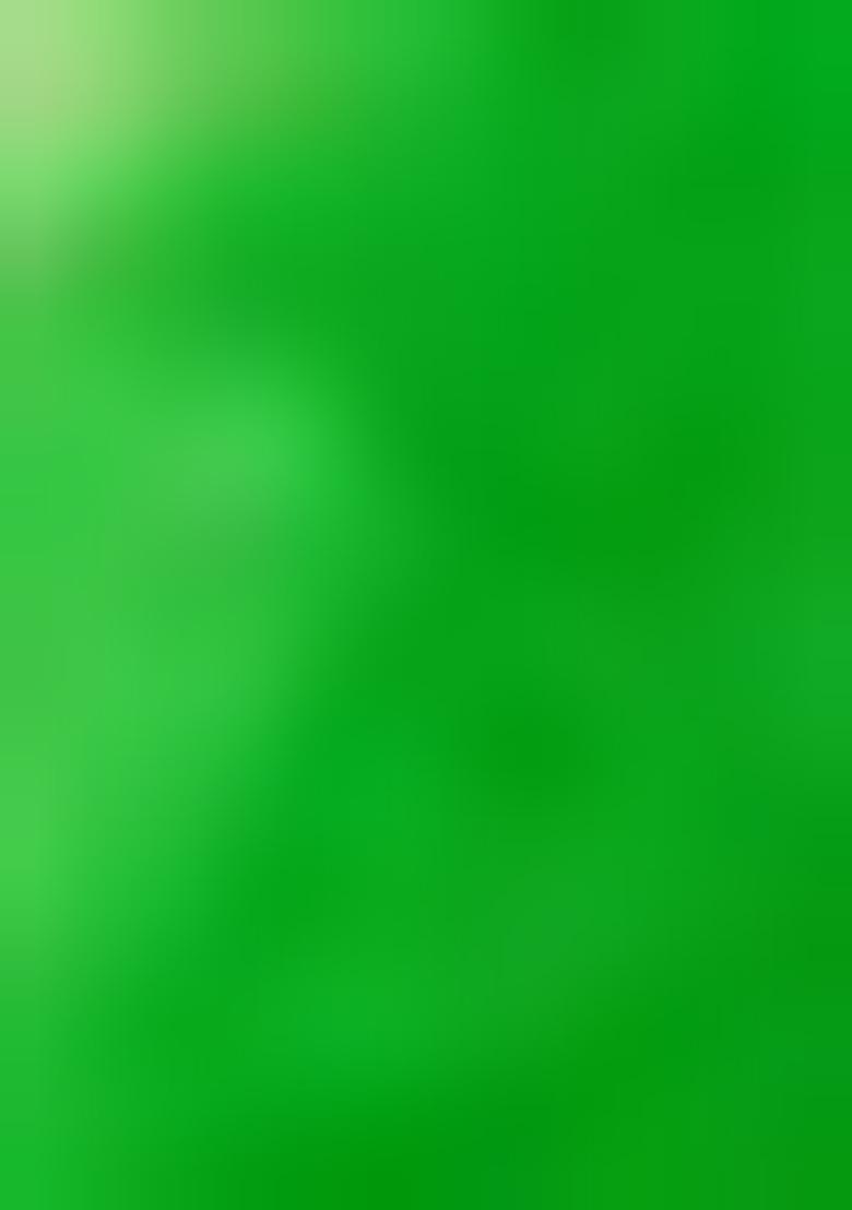 Green Printed Georgette Lehenga Set