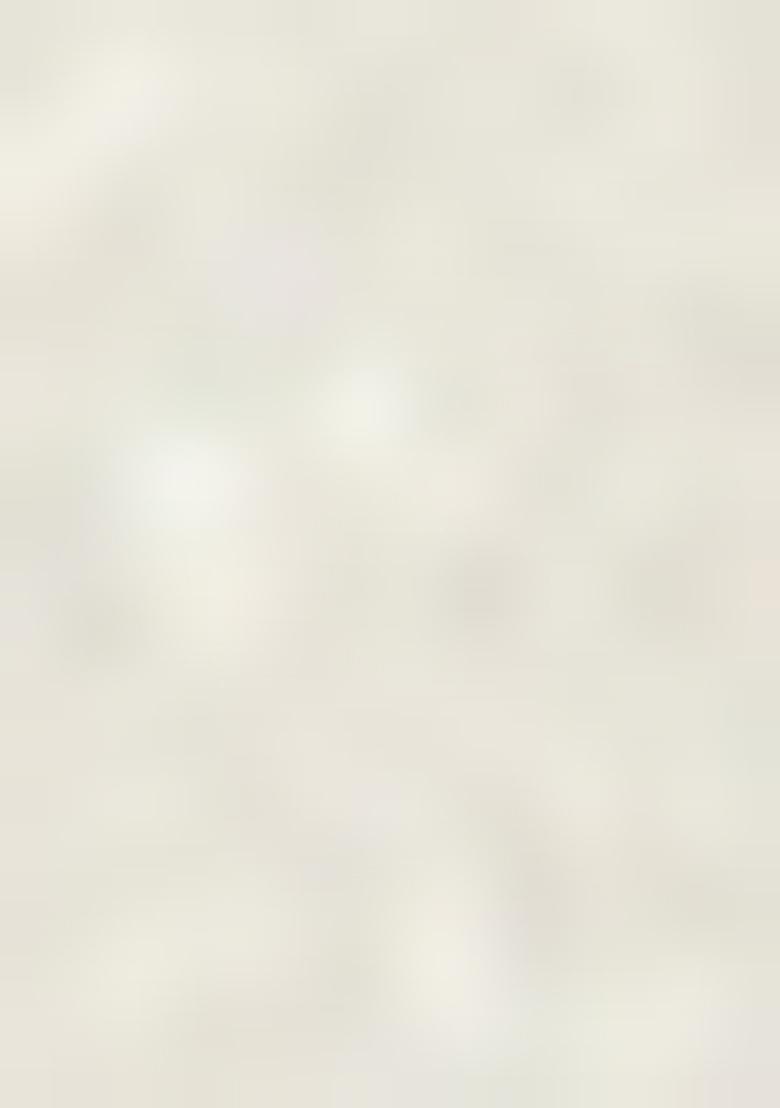 White Printed Chanderi Fusion Set