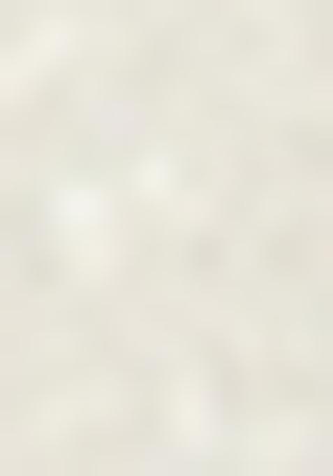 White Printed Chanderi Fusion Set