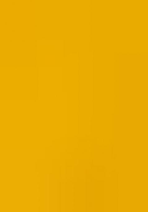 Yellow Printed Chiffon Crop Top Skirt Set