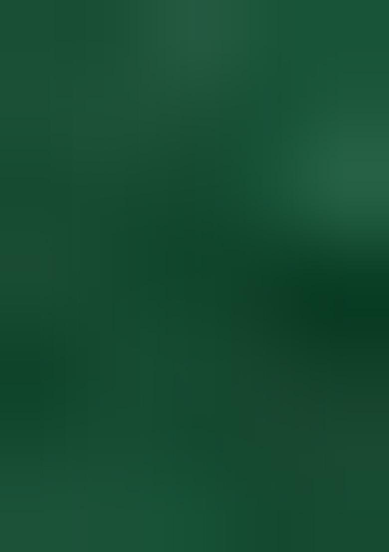 Green Sequin Blouse Georgette Lehenga Set