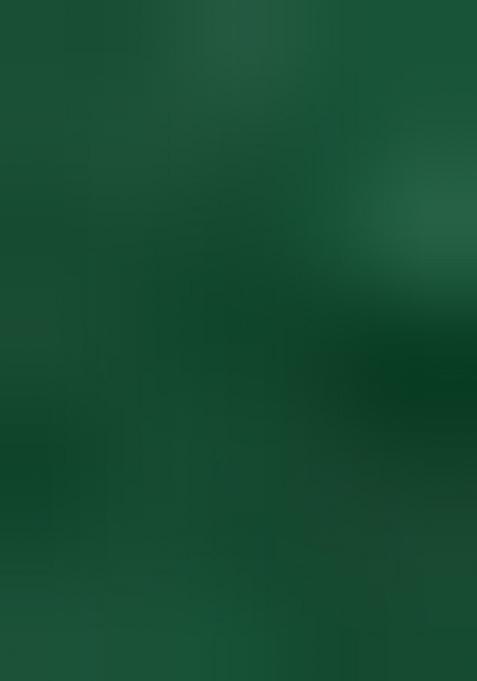 Green Sequin Blouse Georgette Lehenga Set