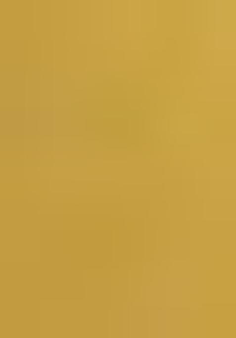 Yellow Sequin Embellished Blouse Georgette Lehenga Set