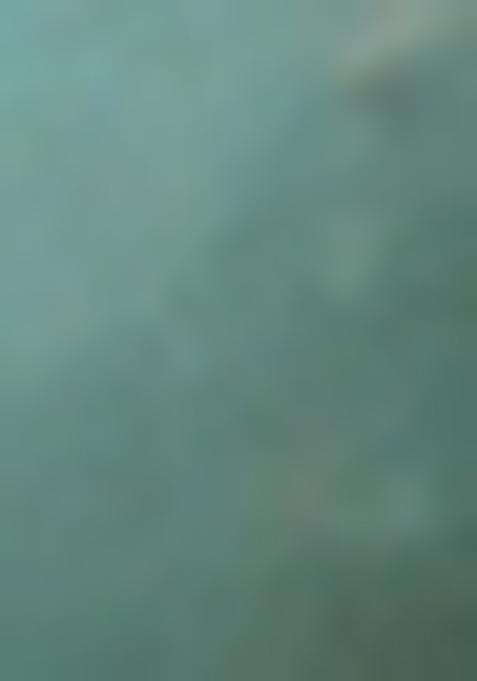 Blue Printed Fusion Set