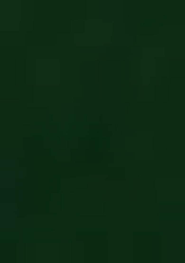 Green Printed Georgette Fusion Set - Indya