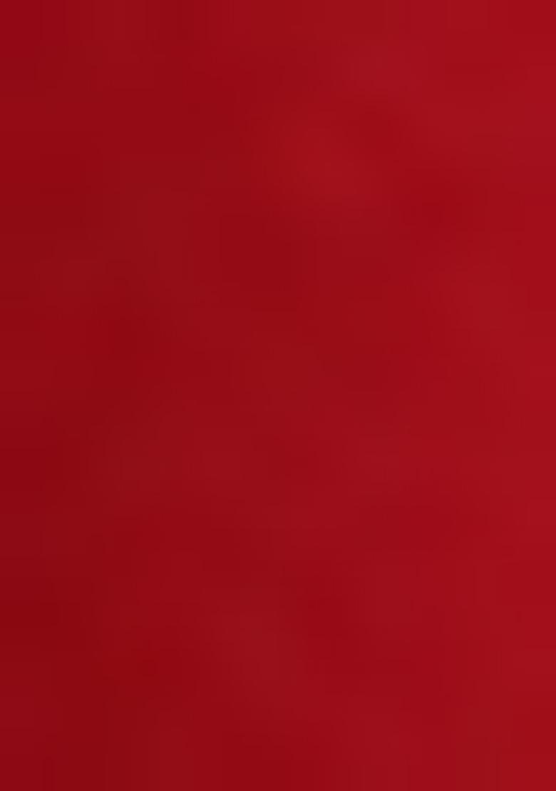 Red Embroidered Georgette Fusion Set - Indya