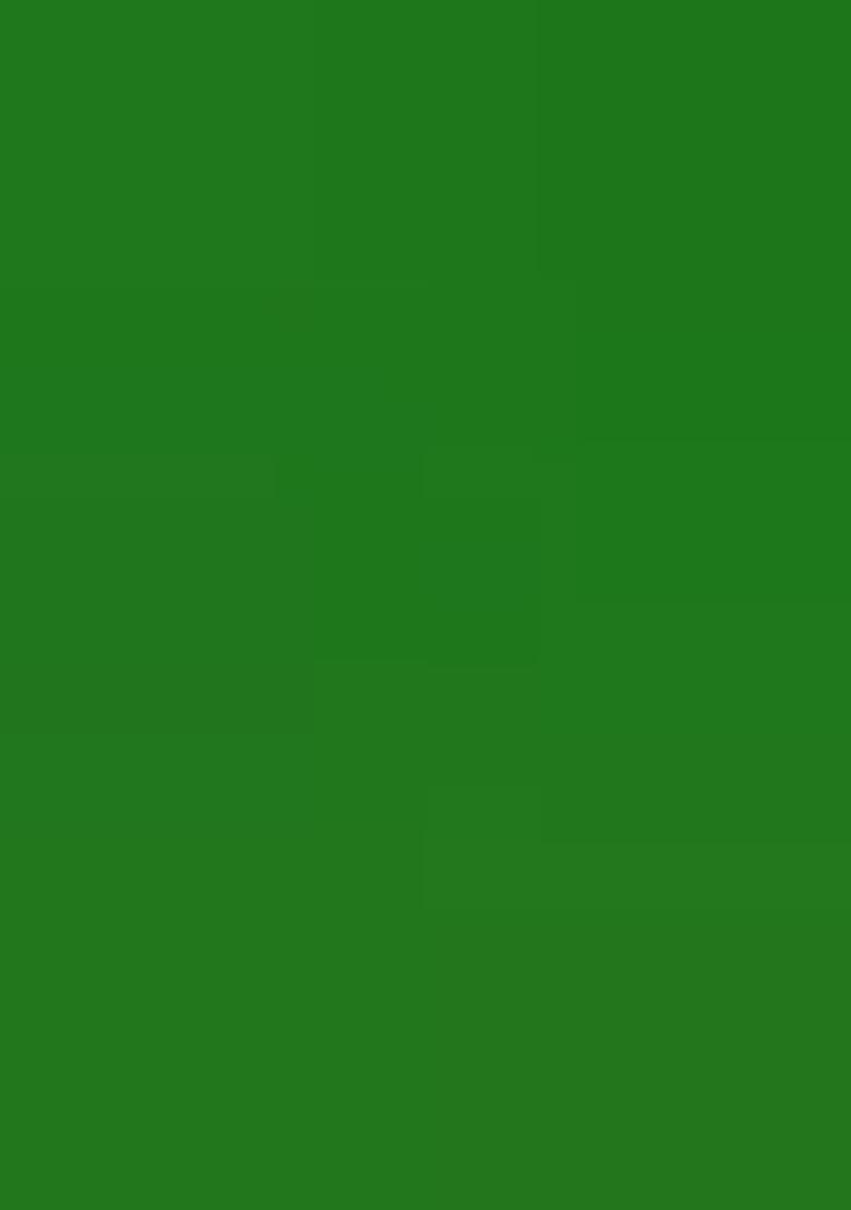 Green Georgette Bandhani Printed Fusion Set - Indya