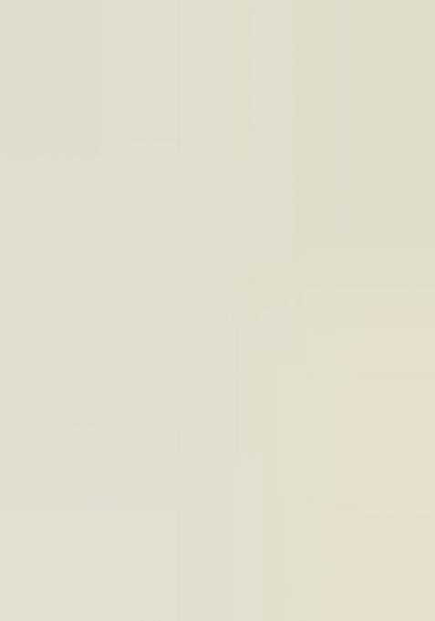 White Chiffon Floral Printed Pre Draped Saree Set