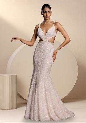 White Sequins Embroidery Net Gown