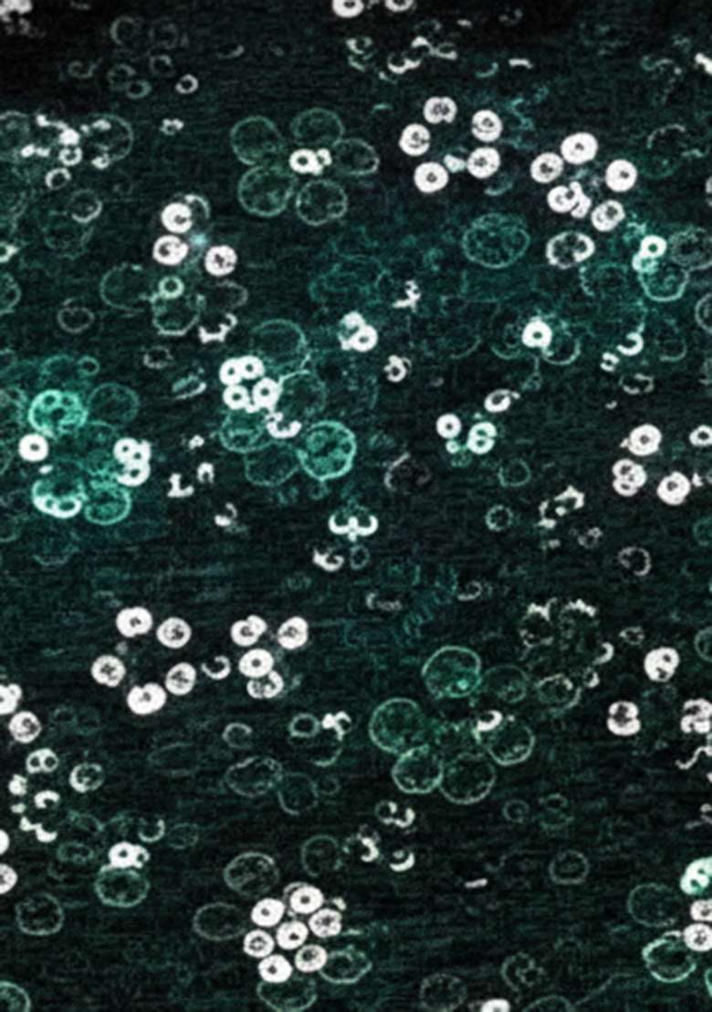 Green Embroidered Net Fusion Set for Diwali and Festive Wear - Indya