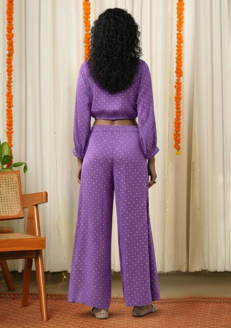 Purple Embroidered Velvet Fusion Set - Indya