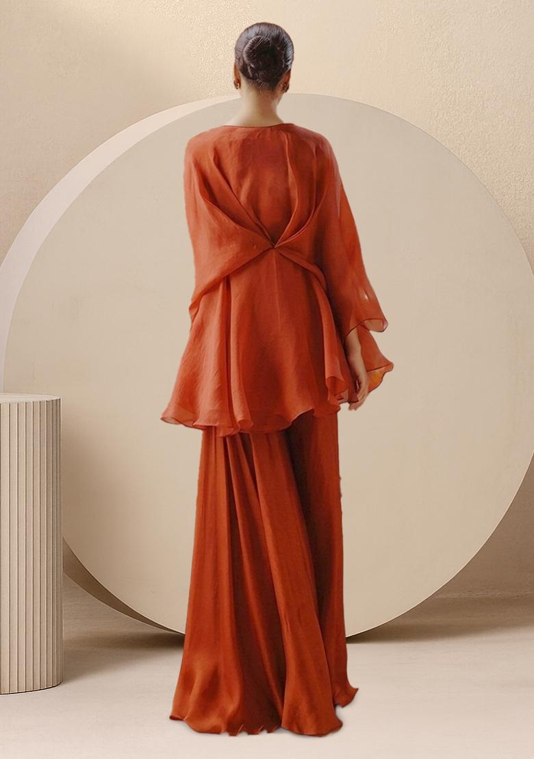 Brown Organza Handwork Fusion Set - Indya