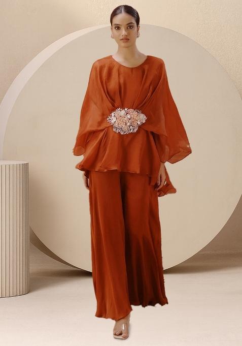 Brown Organza Handwork Fusion Set