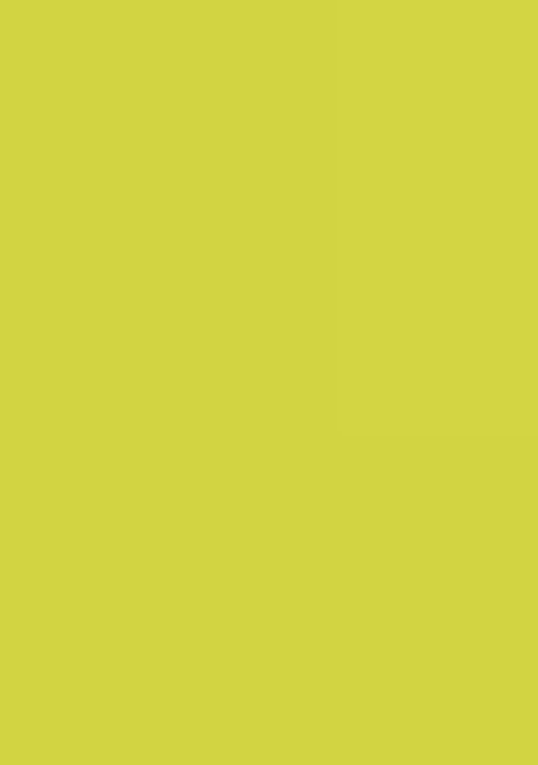Lime Green Hand Work Embroidered Fusion Set - Indya