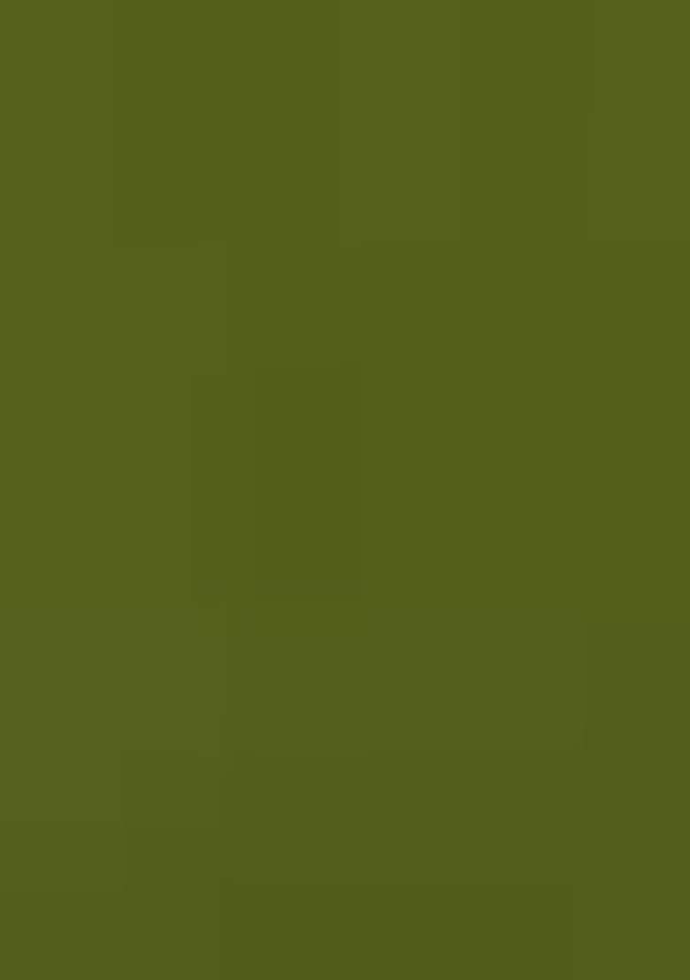 Green Embellished Fusion Set with Hand Work for Diwali | Wedding & Festive Wear - Indya
