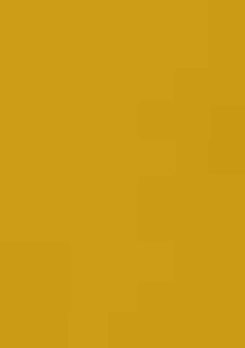 Bright Yellow Hand Work Embellished Pre Draped Saree Set - Indya