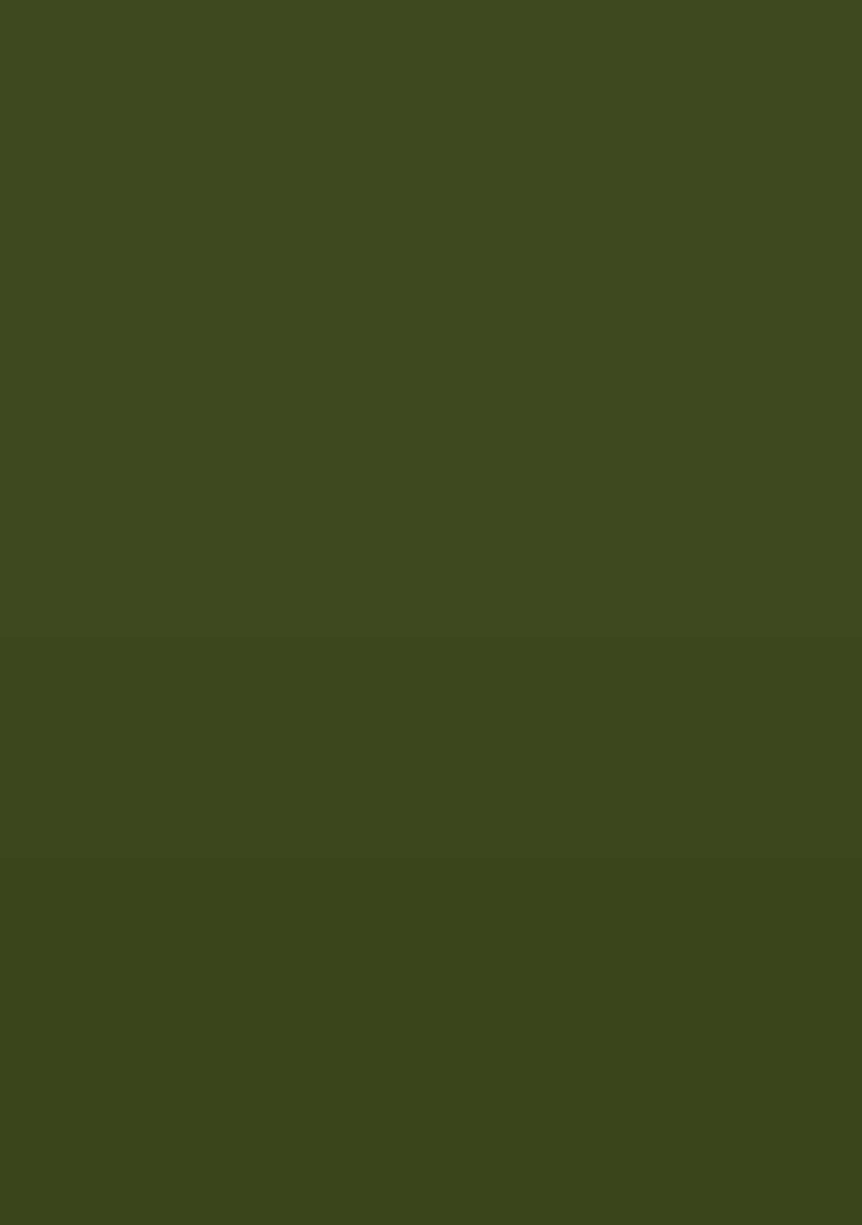 Olive Green Crepe Handwork Fusion Set - Indya