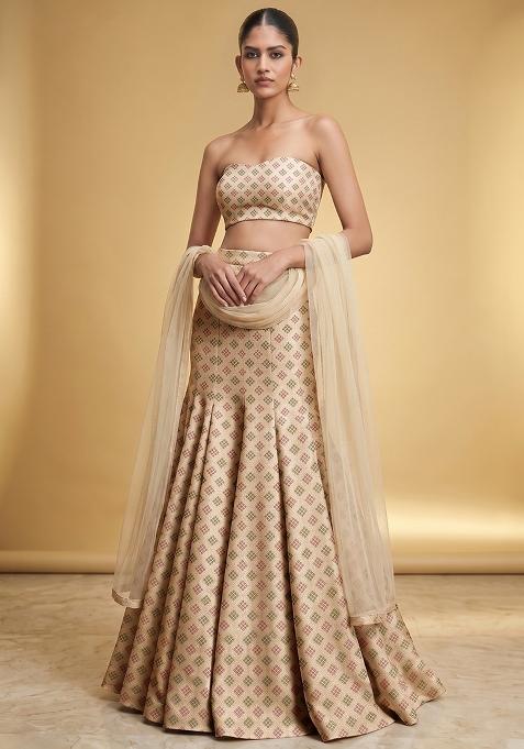 Champagne Gold Zari Silk Lehenga Set