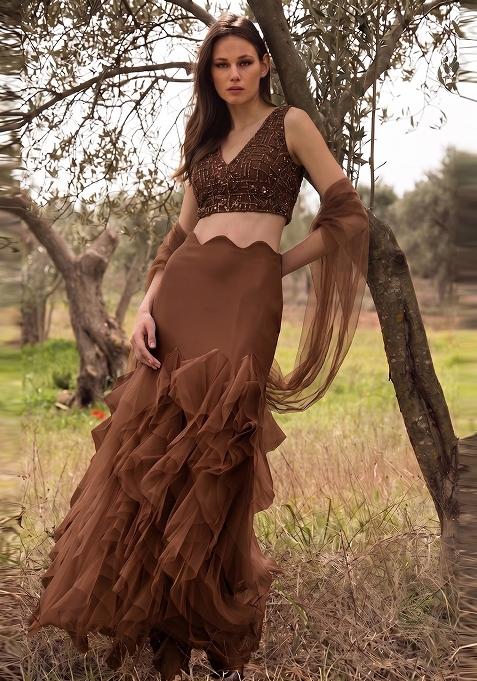 Chocolate Brown Embellished Net Fusion Set