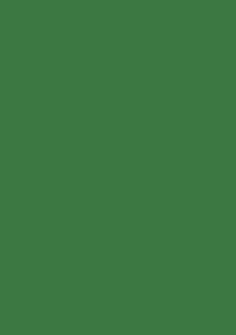 Green Embroidered Crepe Fusion Set - Indya