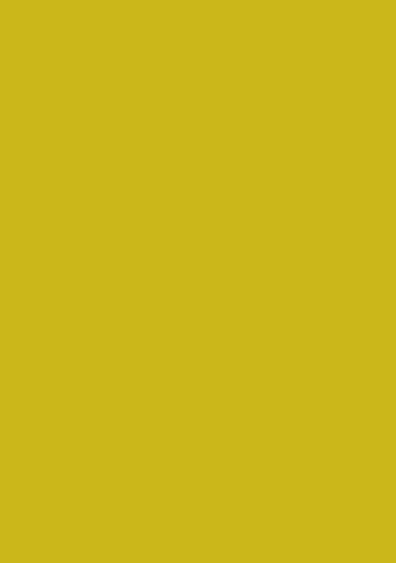 Lime Yellow Embroidered Viscose Fusion Set - Indya