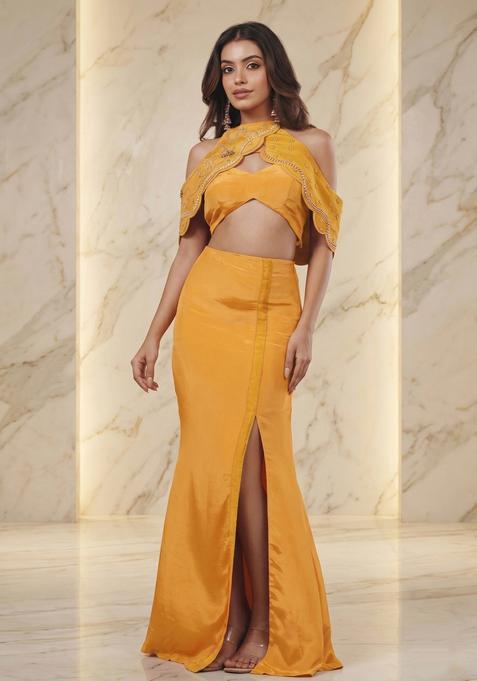 Mustard Embroidered Handwork Fusion Set