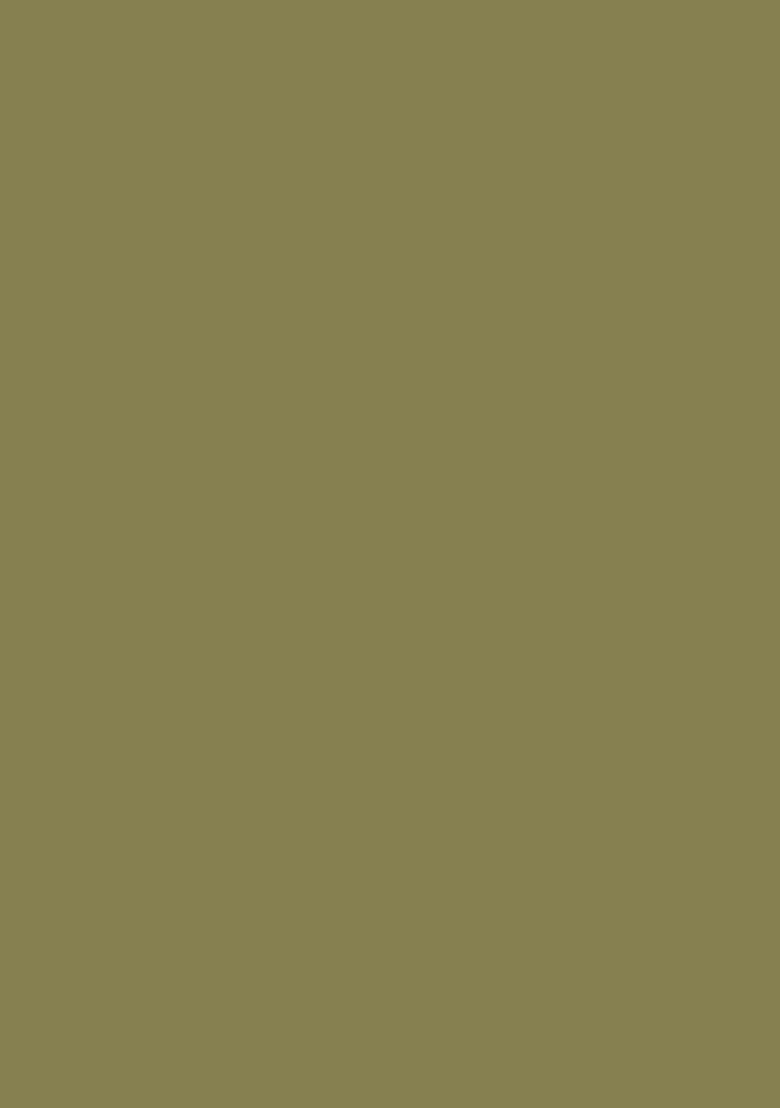 Olive Handwork Fusion Set - Indya