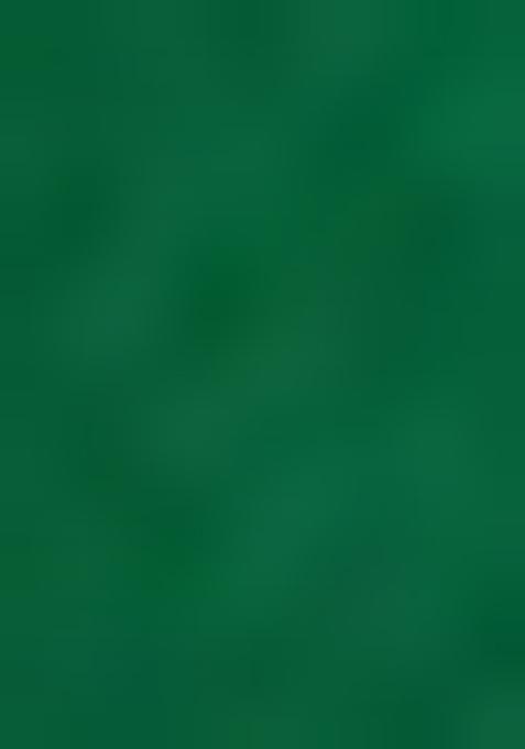 Green Brocade Jacket Cords