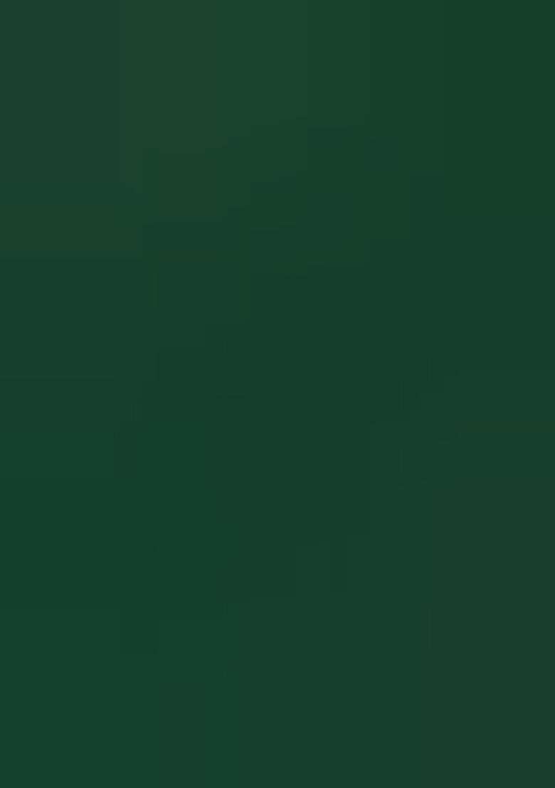 Green Embroidered Brocade Shirt And Short Set