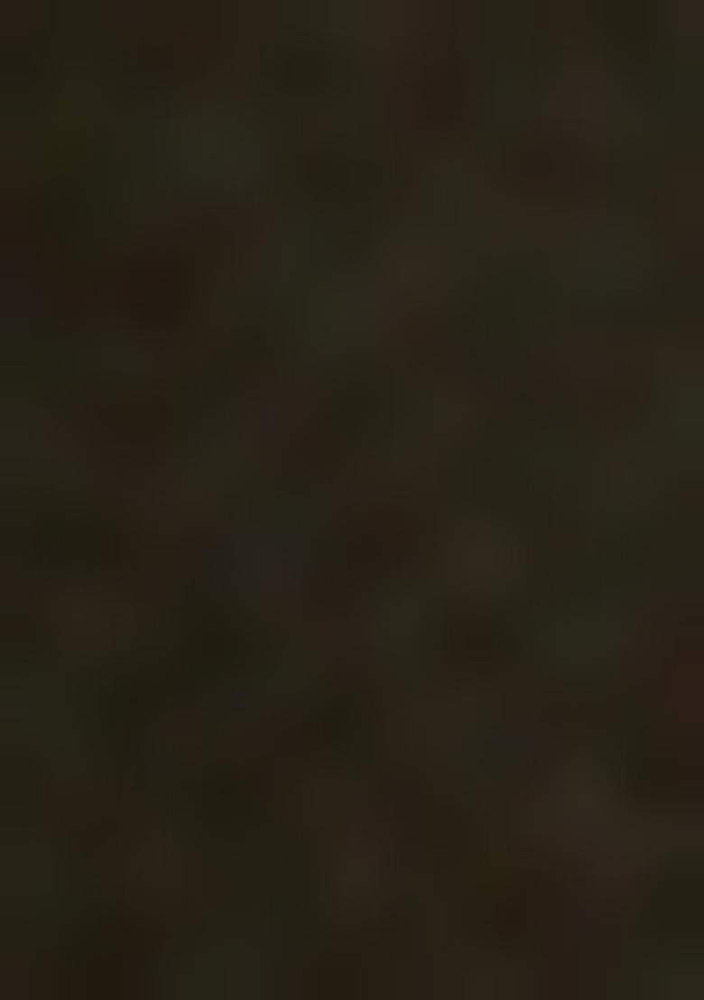 Golden Embellished Net Sharara Set