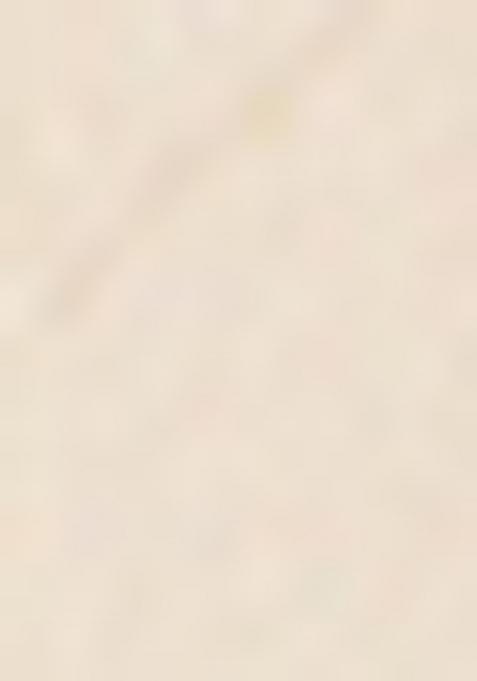 White Embroidered Net Sharara Set