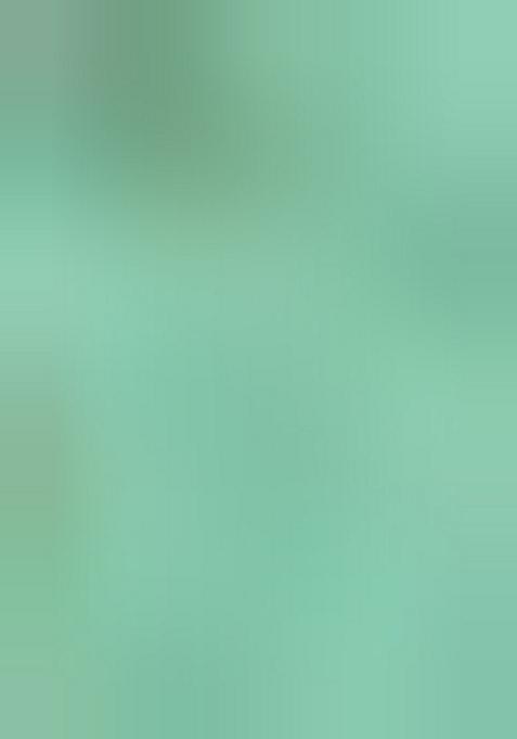 Mint Green Printed Polyester Jumpsuit