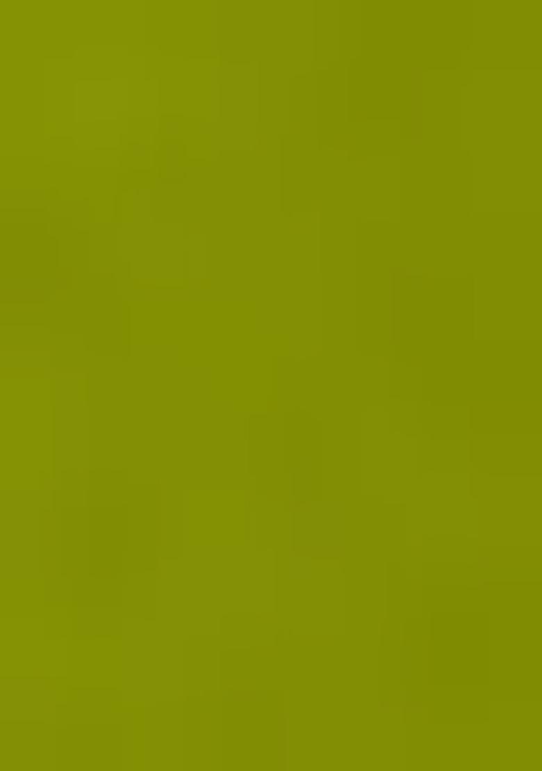 Henna Green Georgette Printed Anarkali Set