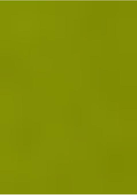 Henna Green Georgette Printed Anarkali Set