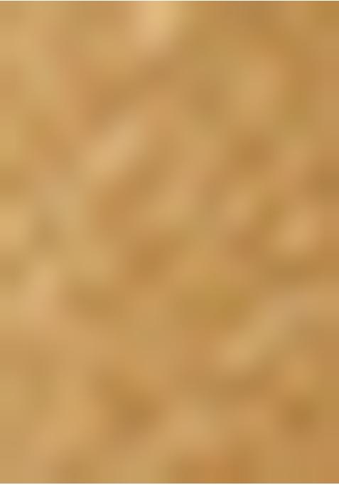 Beige Tissue Embroidered Sharara Set